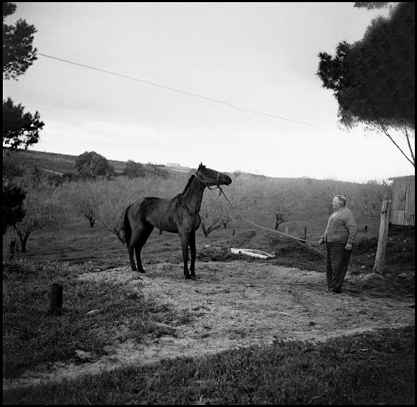 My grandfather Amos Chaplin at Gilles Plains Adelaide - 1960