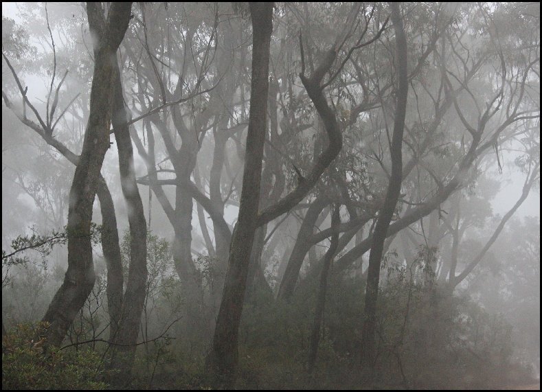 Morgans Place, Mount Victoria, Blue Mountains NSW - 2007