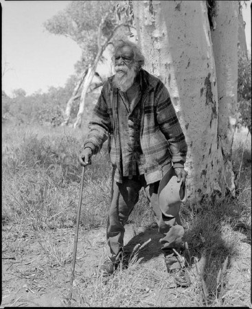 Dinny Nolan Tjampitjinpa - Photograph by Greg Weight